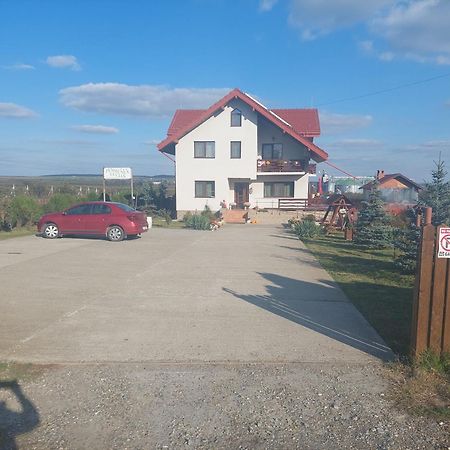 Pensiunea Lucian Baltati Exterior photo